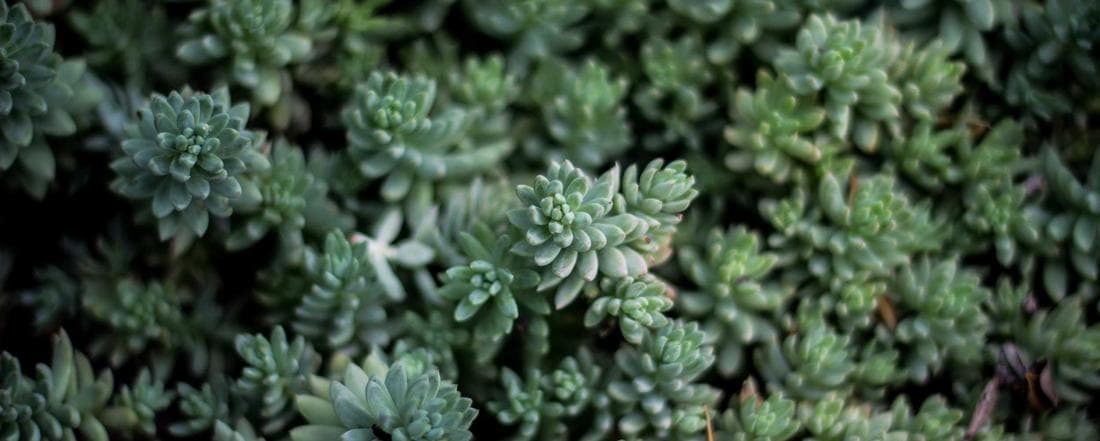 כל מה שרציתם לדעת על סליקה בטכנולוגיית EMV ועל היתרונות שלה עבורכם