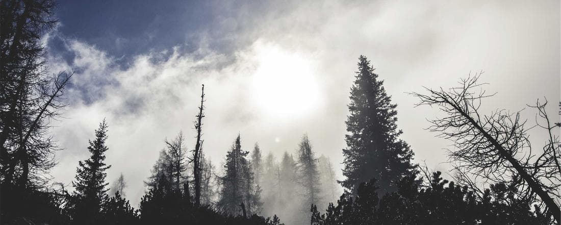 דו"חות כספיים שעושים לכם את החיים קלים